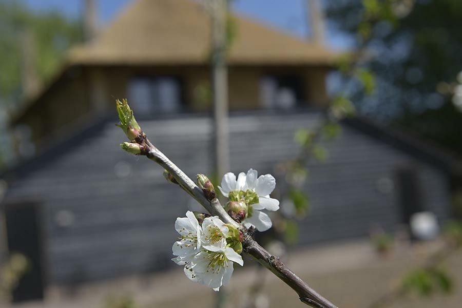 De Steltenberg In De Betuwe Zoelen Exterior foto