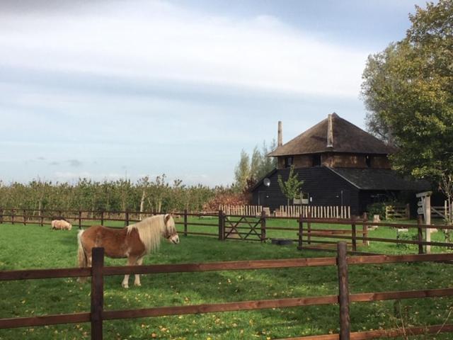 De Steltenberg In De Betuwe Zoelen Exterior foto